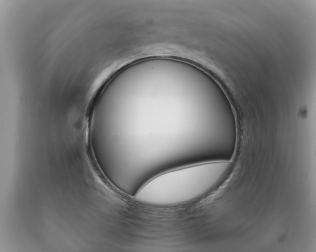 X0000089731509200706210905