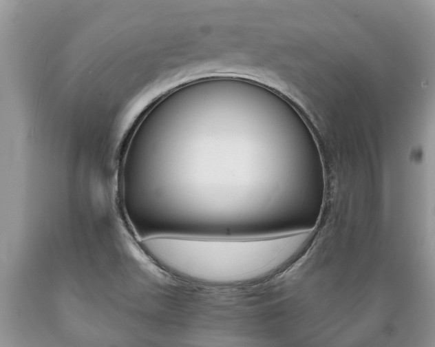 X0000089731511200706210905
