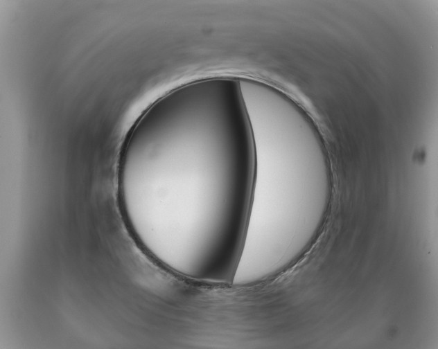 X0000089731512200706210905