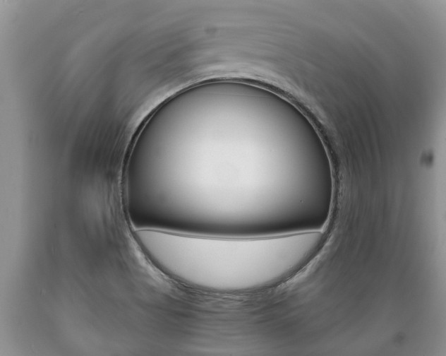X0000089731513200706210905