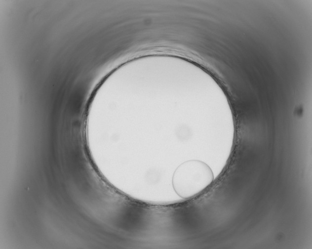 X0000089731514200706210905