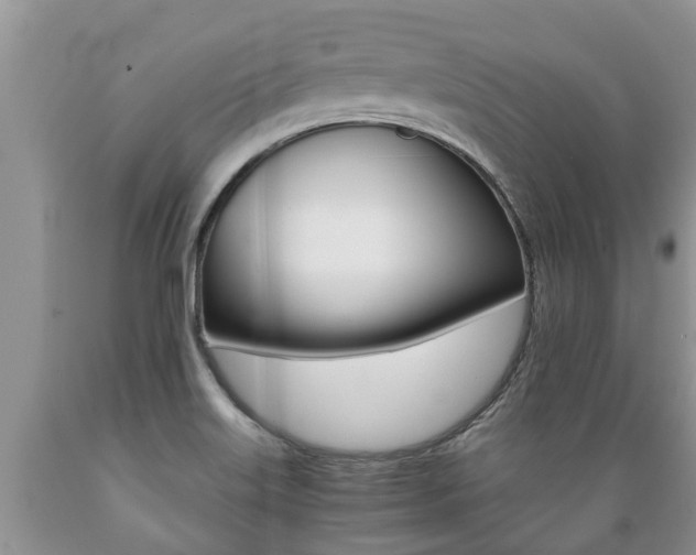 X0000089731515200706210905