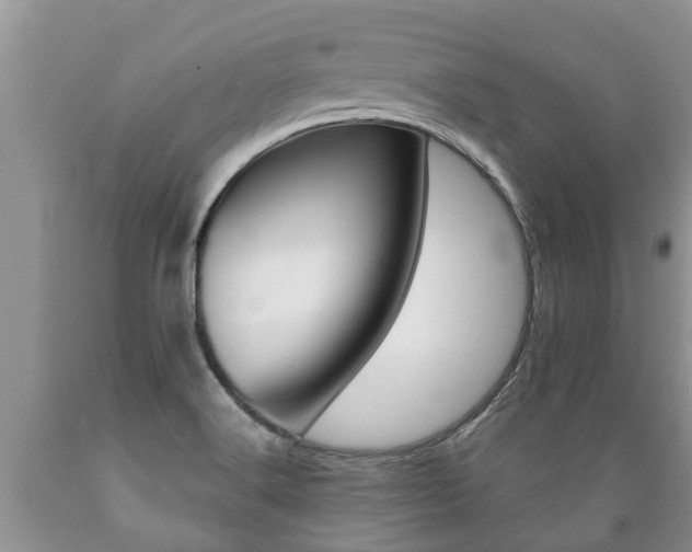 X0000089731516200706210905