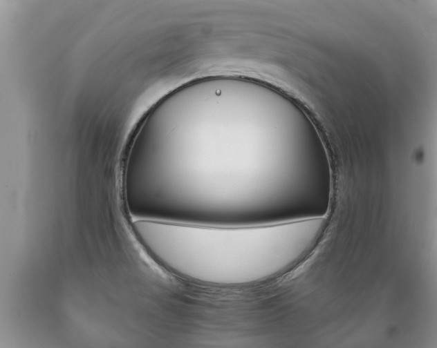 X0000089731517200706210905