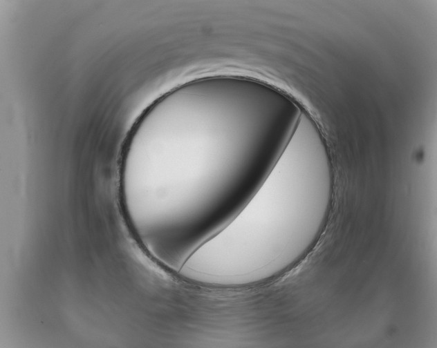 X0000089731518200706210905
