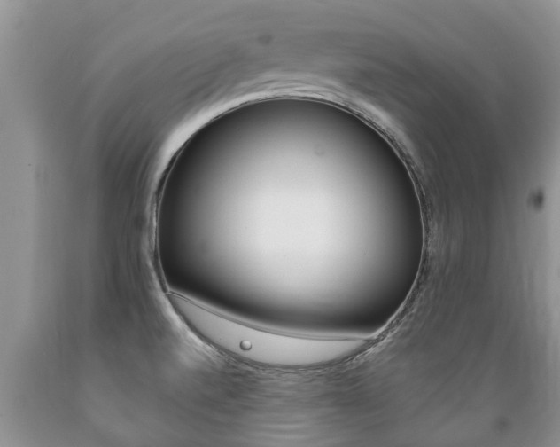 X0000089731520200706210905