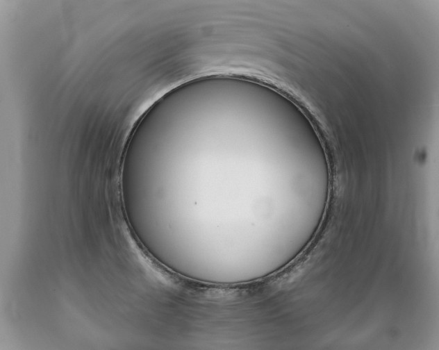 X0000089731521200706210905