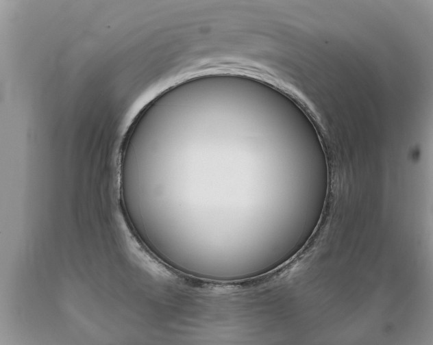X0000089731522200706210905