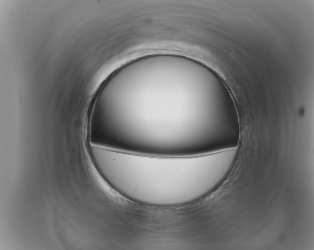 X0000089731523200706210905