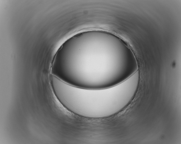 X0000089731524200706210905