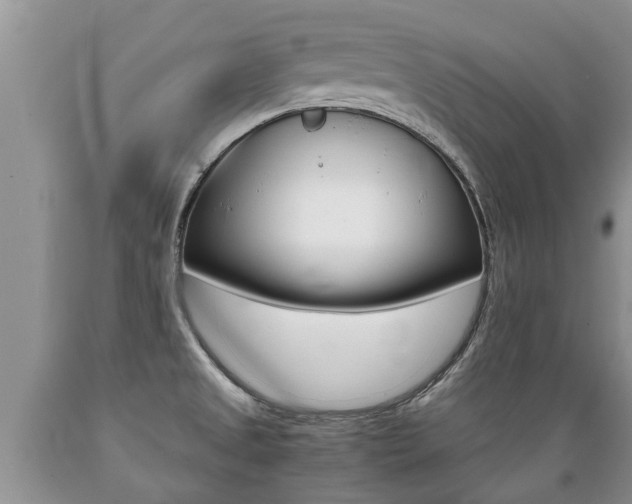 X0000089731525200706210905