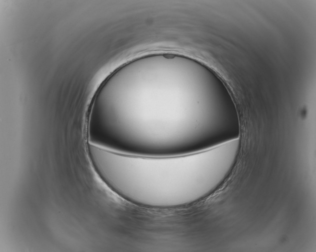 X0000089731527200706210905