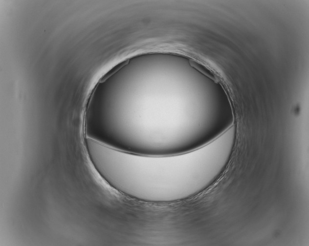 X0000089731528200706210905