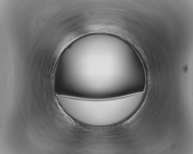 X0000089731529200706210905
