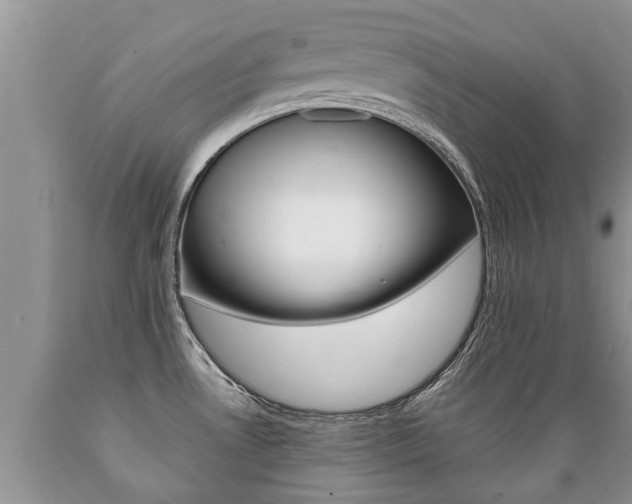 X0000089731530200706210905