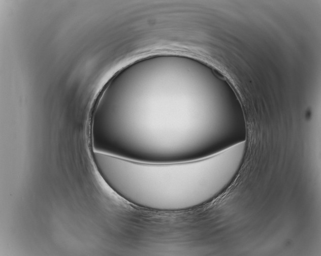 X0000089731531200706210905