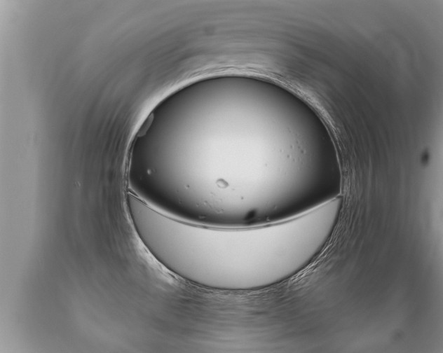 X0000089731532200706210905