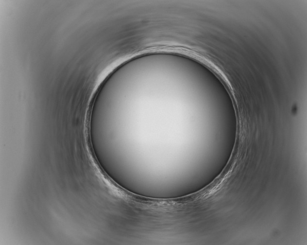 X0000089731533200706210905