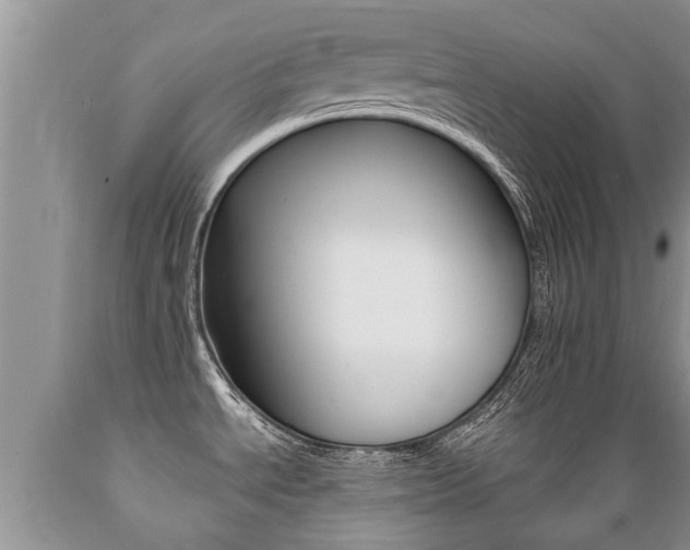 X0000089731534200706210905