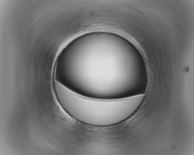 X0000089731536200706210905