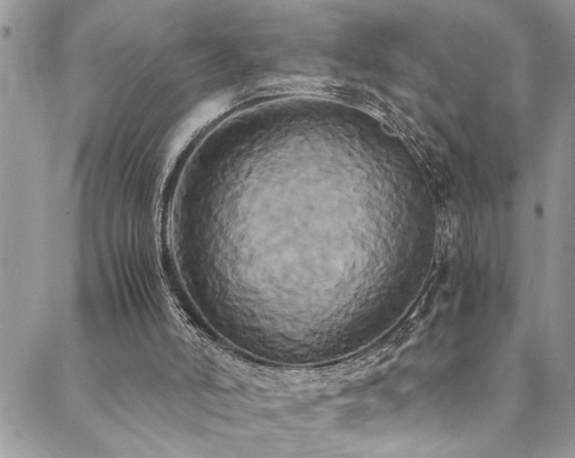 X0000089730006200706211445