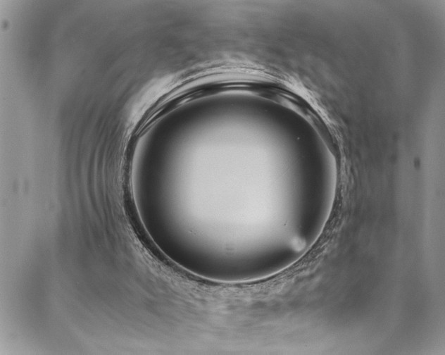 X0000089730007200706211445