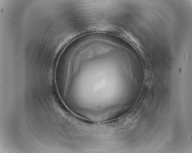 X0000089730012200706211445