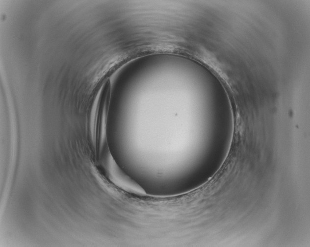 X0000089730013200706211445
