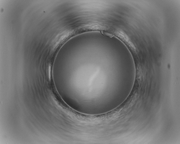 X0000089730014200706211445