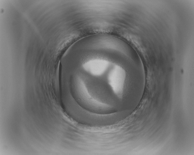 X0000089730017200706211445