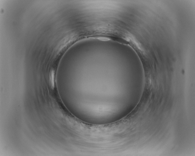 X0000089730022200706211445