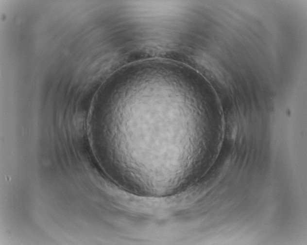 X0000089730034200706211445