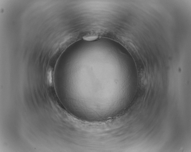 X0000089730042200706211444