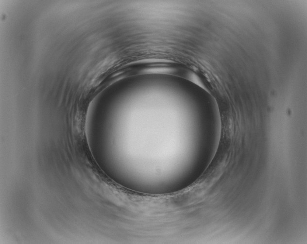 X0000089730044200706211444