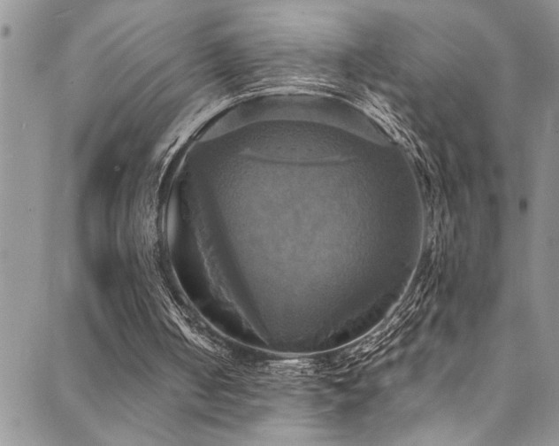 X0000089730050200706211444