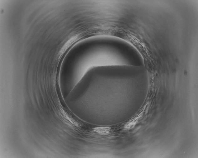 X0000089730051200706211444