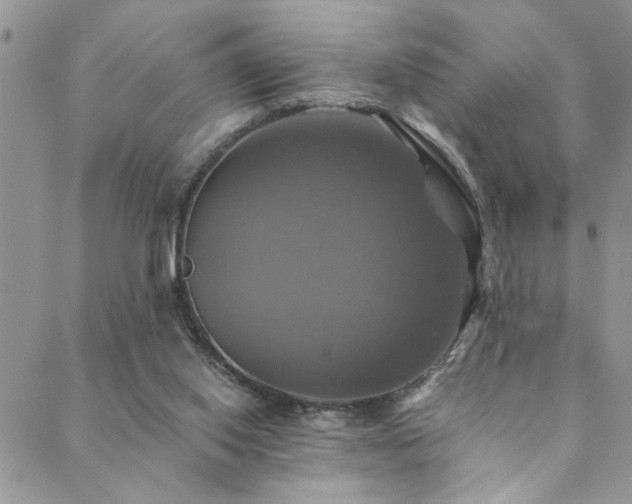 X0000089730062200706211444