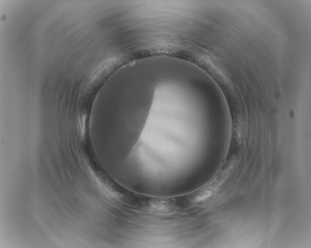 X0000089730070200706211444