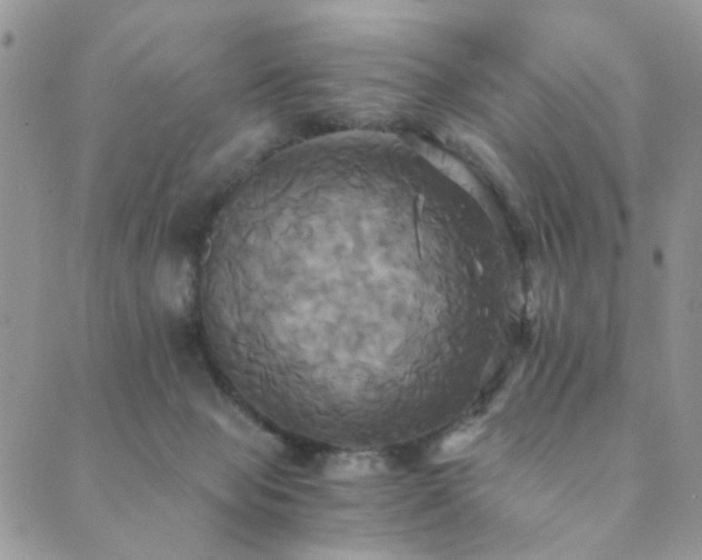 X0000089730077200706211444