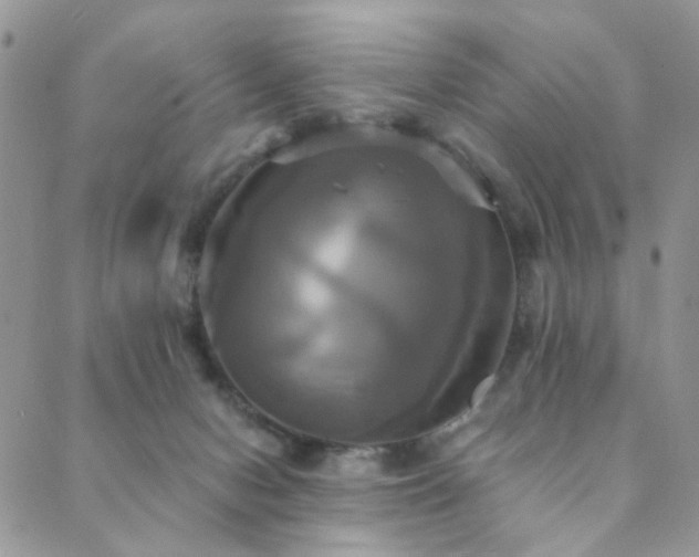 X0000089730078200706211444