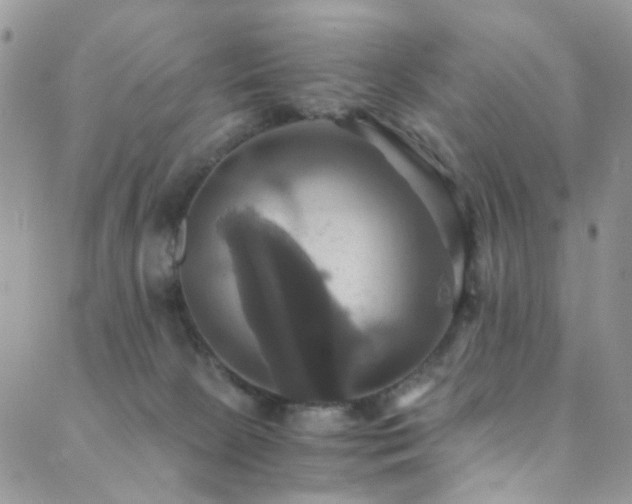 X0000089730081200706211444