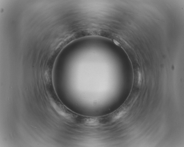 X0000089730088200706211444