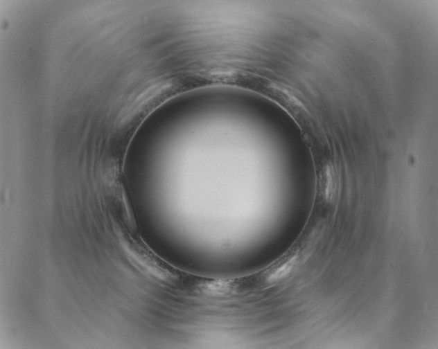 X0000089730092200706211444