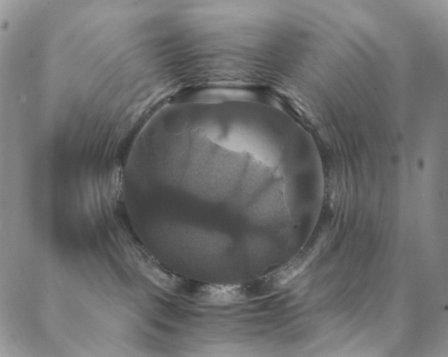 X0000089730093200706211444