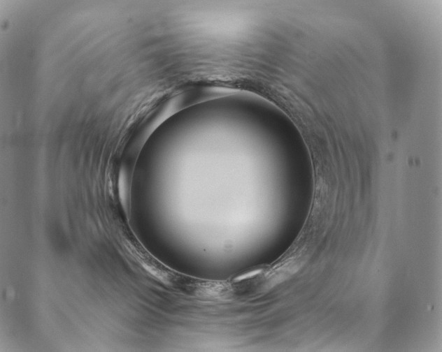 X0000089730096200706211444