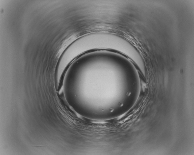 X0000089730099200706211444