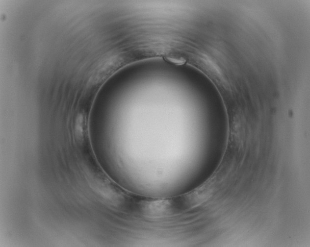 X0000089730122200706211443