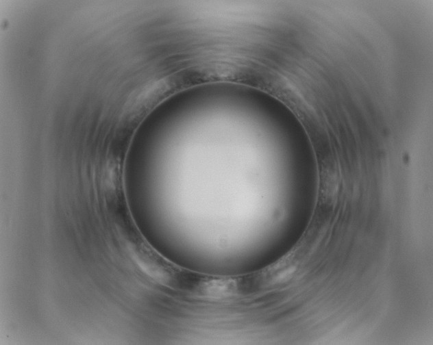 X0000089730126200706211443