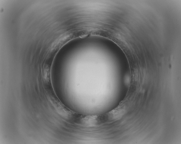 X0000089730138200706211443