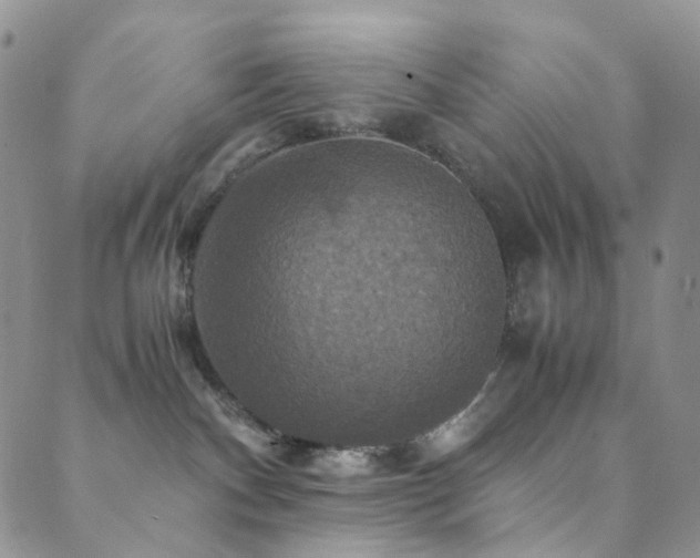 X0000089730140200706211443